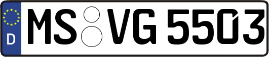 MS-VG5503
