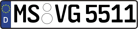 MS-VG5511