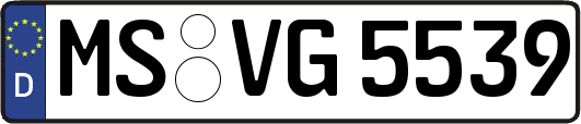 MS-VG5539