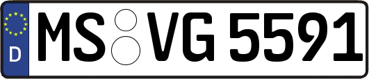 MS-VG5591