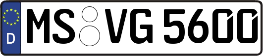 MS-VG5600