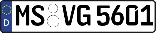 MS-VG5601