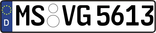 MS-VG5613