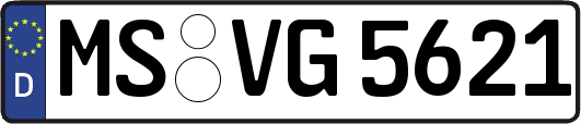 MS-VG5621