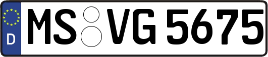 MS-VG5675
