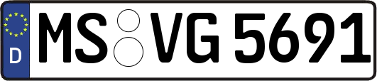 MS-VG5691