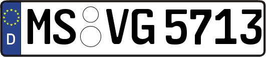 MS-VG5713