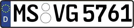 MS-VG5761