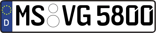 MS-VG5800