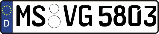MS-VG5803