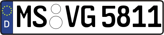 MS-VG5811