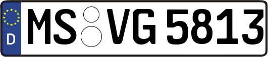 MS-VG5813