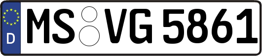 MS-VG5861