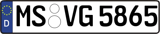 MS-VG5865