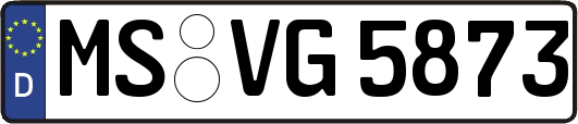 MS-VG5873
