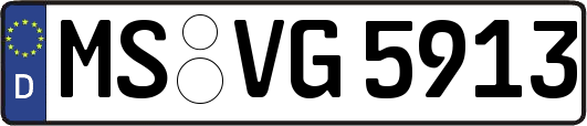 MS-VG5913