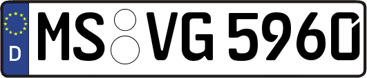 MS-VG5960
