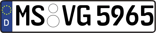 MS-VG5965