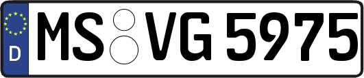 MS-VG5975