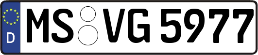 MS-VG5977