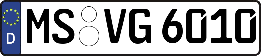 MS-VG6010