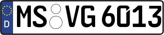 MS-VG6013