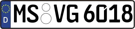 MS-VG6018