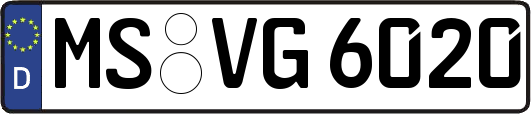 MS-VG6020