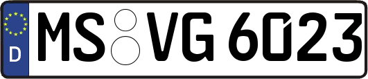 MS-VG6023
