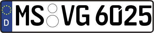 MS-VG6025