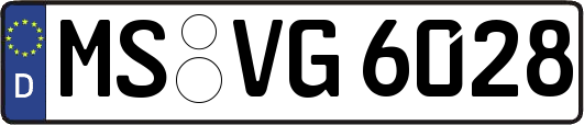 MS-VG6028