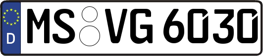 MS-VG6030