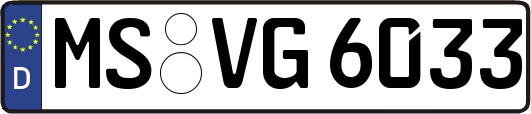 MS-VG6033