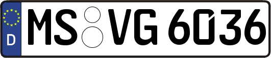 MS-VG6036