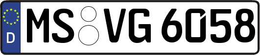 MS-VG6058