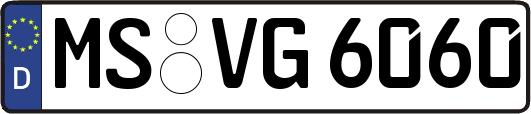 MS-VG6060