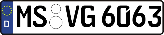 MS-VG6063