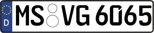 MS-VG6065