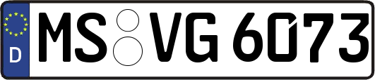 MS-VG6073