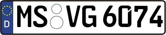 MS-VG6074