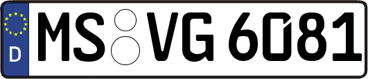 MS-VG6081