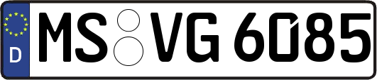 MS-VG6085
