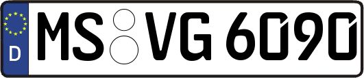 MS-VG6090