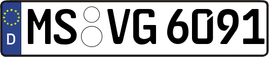 MS-VG6091