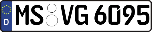 MS-VG6095