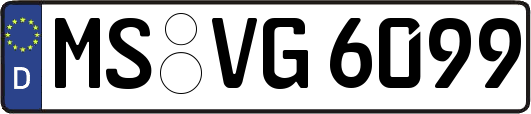 MS-VG6099