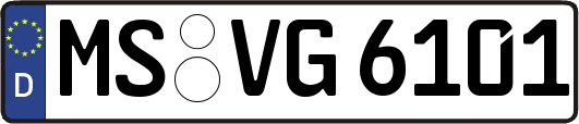 MS-VG6101