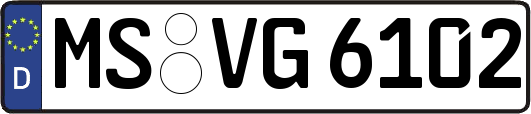 MS-VG6102