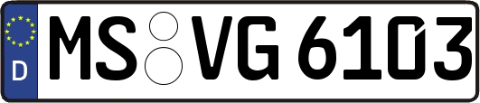 MS-VG6103