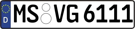 MS-VG6111